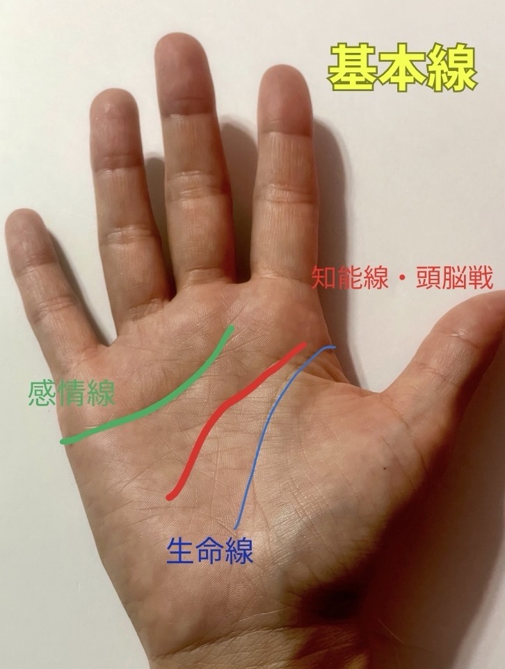 基本線（感情線・生命線・知能線）の見方